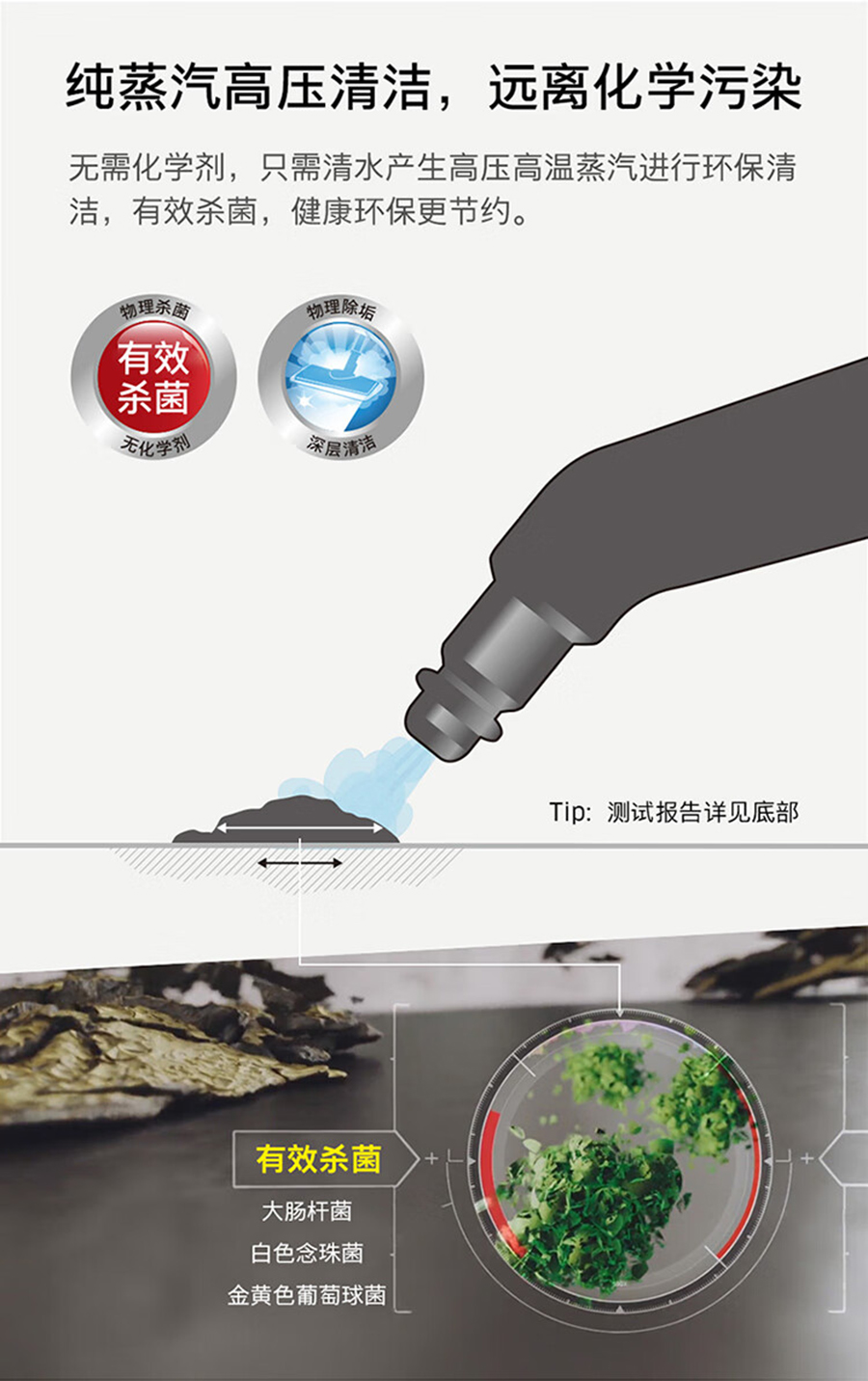 卡赫 蒸汽清洗机SG 4/4 EU