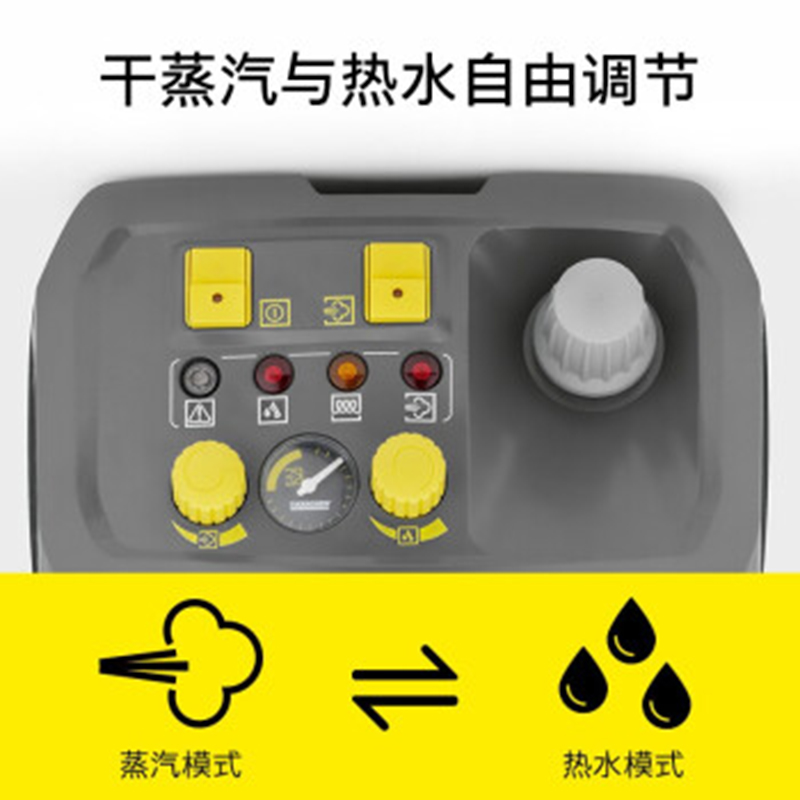 卡赫 蒸汽清洗机SG 4/4 EU