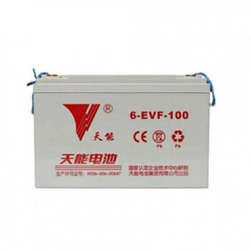 天能免维护电瓶6-EVF-100
